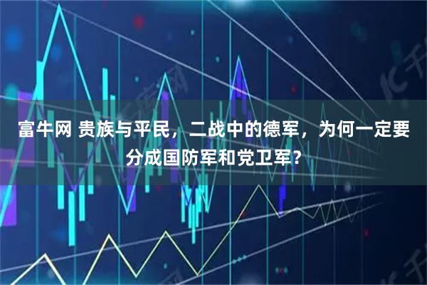 富牛网 贵族与平民，二战中的德军，为何一定要分成国防军和党卫军？