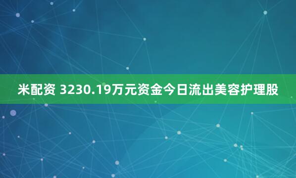 米配资 3230.19万元资金今日流出美容护理股