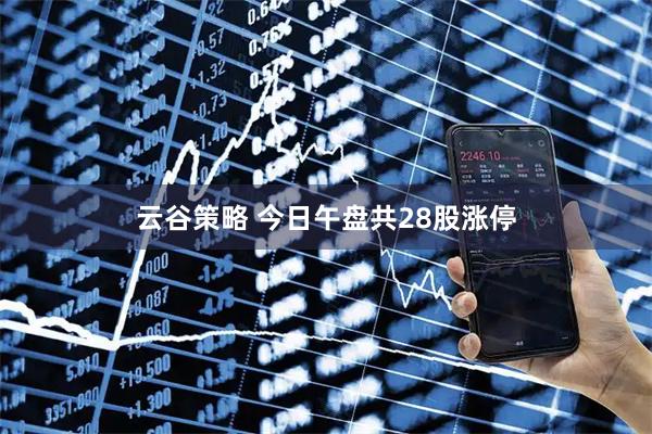云谷策略 今日午盘共28股涨停