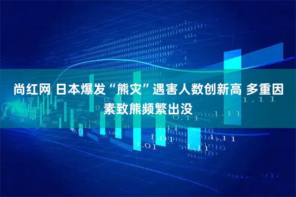 尚红网 日本爆发“熊灾”遇害人数创新高 多重因素致熊频繁出没