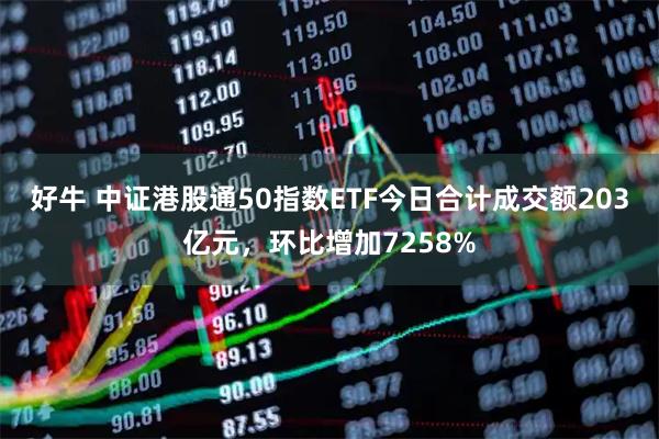 好牛 中证港股通50指数ETF今日合计成交额203亿元，环比增加7258%