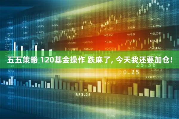 五五策略 120基金操作 跌麻了, 今天我还要加仓!