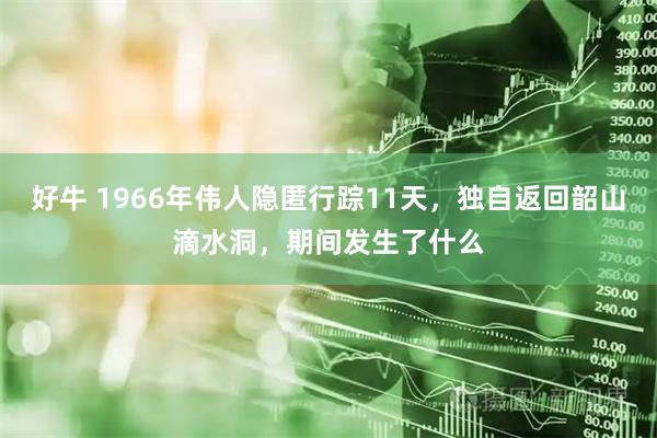 好牛 1966年伟人隐匿行踪11天,独自返回韶山滴水洞,期间发生了什么
